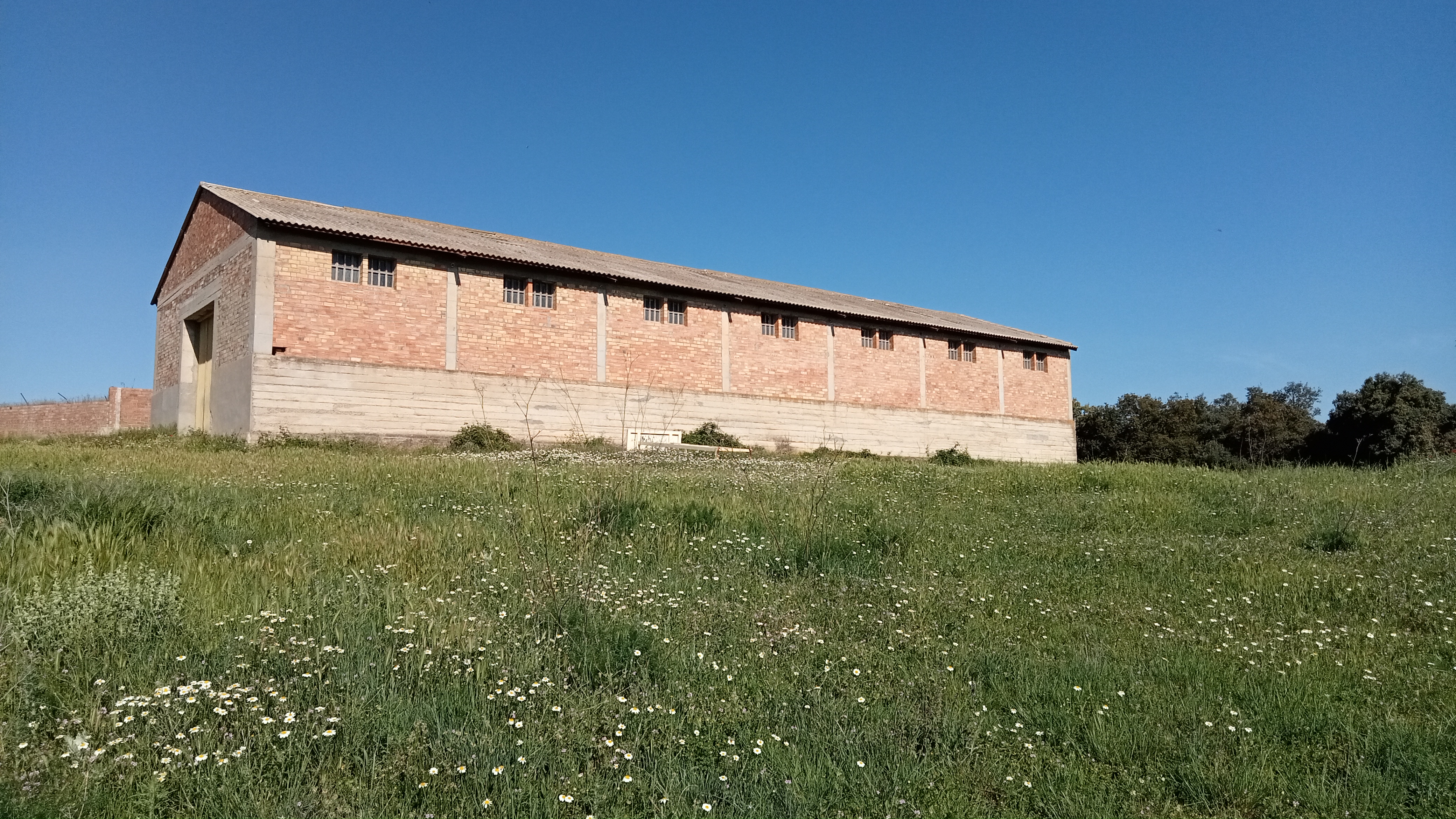 Proyecto de construcción de granjas de terneros en el polígono 5, parcela 229 de Purroy de la Solana, en Benabarre (Huesca)
